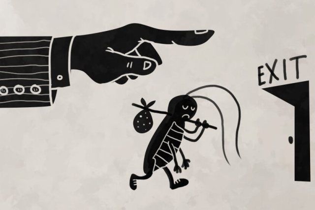 Обойдёмся без тапок - эффективные средства от тараканов и других насекомых в доме.