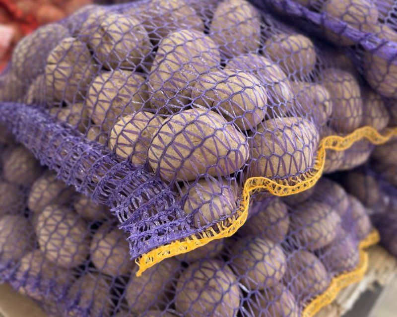 Пришло время сажать картофель!