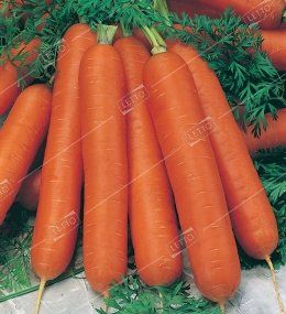 ГПк/морковь Нантская 4 *100г Фермер