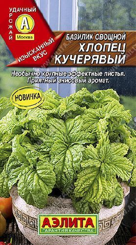 Базилик Хлопец кучерявый, семена Аэлита 0,2г
