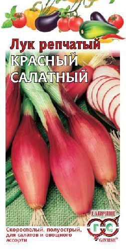 Лук репчатый Красный салатный, семена Гавриш 0,5г