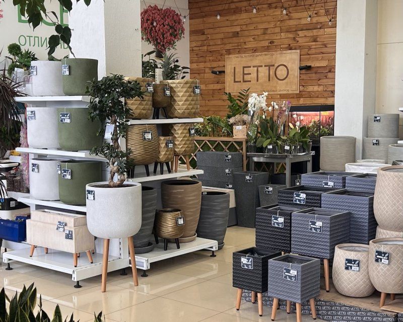 Познакомьтесь с новой коллекцией керамических кашпо - идеальным выбором для создания уюта и гармонии в вашем доме!