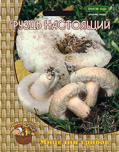 П/грибы Груздь настоящий (Белый груздь) *60мл