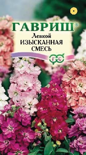 Левкой (маттиола) Изысканная смесь, семена Гавриш Сад ароматов 0,05г