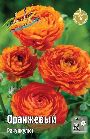 Ранункулюс Оранжевый Ranunculus Double Oranje 6/7 10шт, капер, Колорлайн