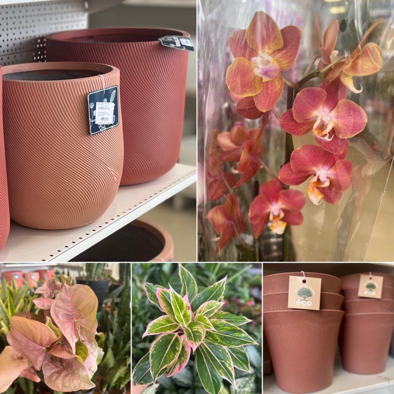 Терракотовый + зеленый = любовь!