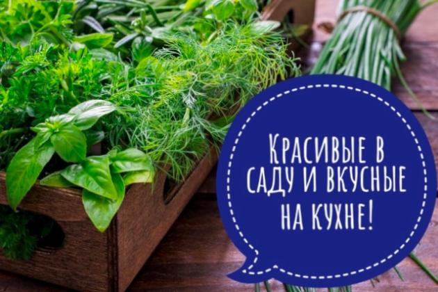 Красивые в саду и вкусные на кухне. Красивые в саду и вкусные на кухне.