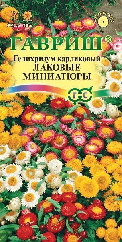 Гелихризум Лаковые миниатюры карликовый, семена Гавриш 0,1г
