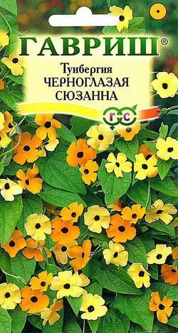 Тунбергия Черноглазая Сюзанна, семена Гавриш 0,3г