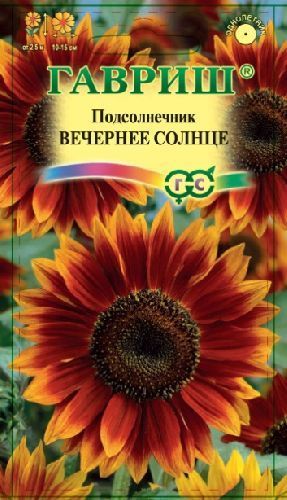 Подсолнечник Вечернее солнце, семена Гавриш 0,5г