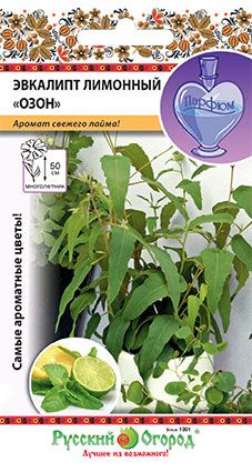 Семена эвкалипта озон семена арбузов украина