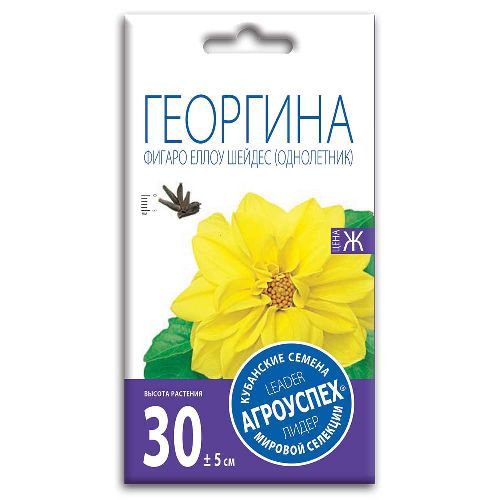Георгина Фигаро Еллоу Шейдес, семена Агроуспех 7шт (400)