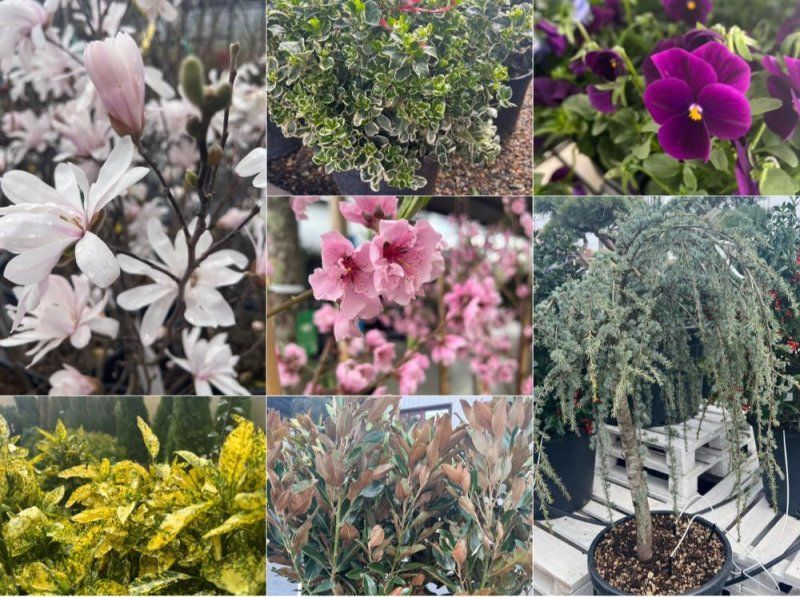  Весенне поступление в LETTO!