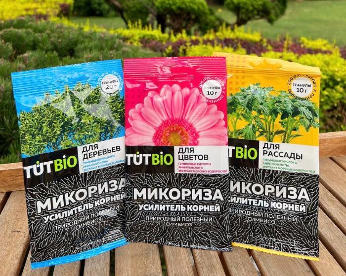 Почему растения погибают без микоризы?