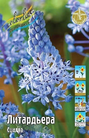 Сцилла Литардьера Scilla Litardierei 6/+ 10шт, капер, Колорлайн