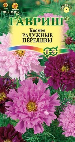 Космея Радужные переливы, семена Гавриш 0,1г