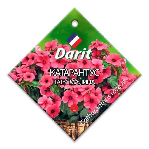 Катарантус Тату Малина, семена Дарит 5шт (500)