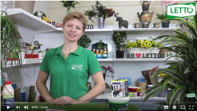 Ранняя весенняя обработка сада.  Видеоинструкция