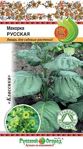 Махорка (табак курительный) Русская, семена Русский огород 0,01г — цена в LETTO
