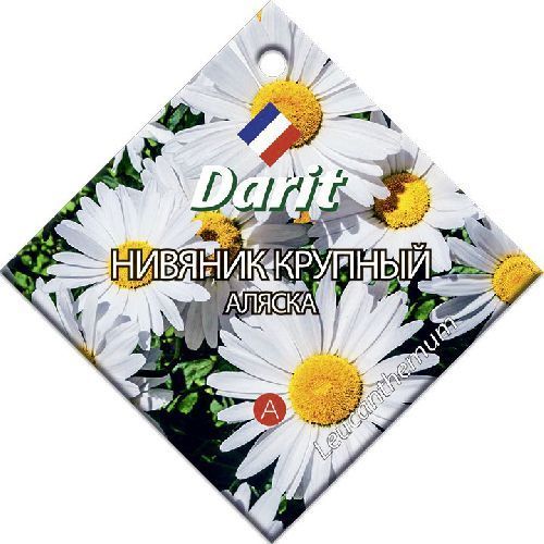 Дц/нивяник крупный Аляска М *0,3г (300)