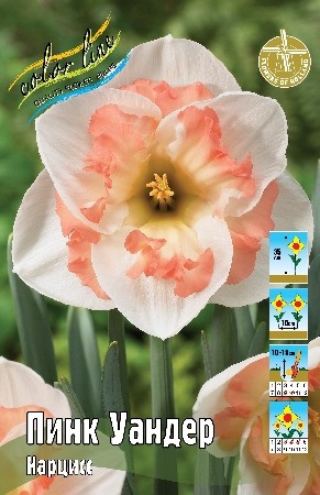 Нарцисс Пинк Уандер Pink Wonder 14/16 5шт, капер, Колорлайн 