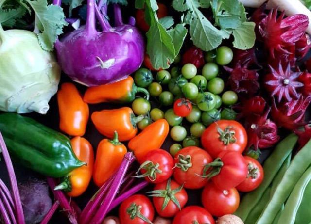 Что можно посеять в апреле на рассаду?