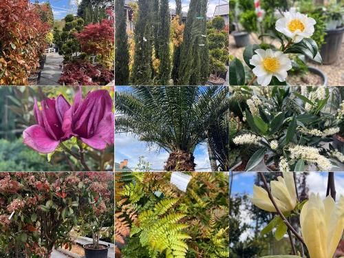 Так красиво — хоть картину маслом на холсте рисуй.