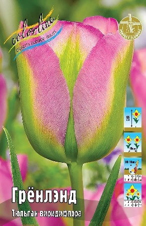 Тюльпан Грёнлэнд Tulipa Groenland 12/+ 2шт, капер, Колорлайн
