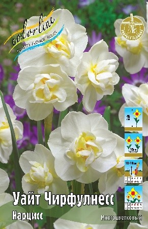 Нарцисс Уайт Чирфулнесс Narcissus White Cheerfulness 12/14 5шт, капер, Колорлайн