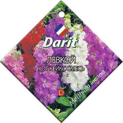 Левкой (маттиола) Хот Кейкс смесь, семена Дарит 10шт (500)