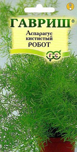 Аспарагус Робот кистистый, семена Гавриш 0,2г