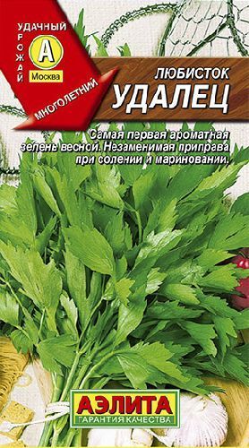 Любисток Удалец, семена Аэлита 0,3г