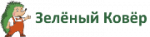 Зелёный ковер
