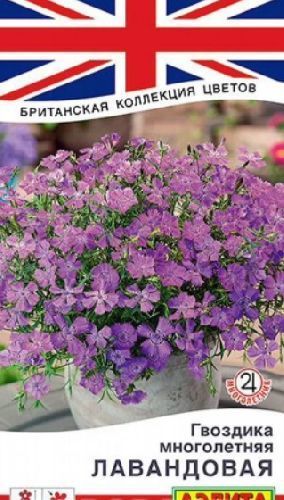 Гвоздика многолетняя лавандовая, семена Аэлита Британская коллекция цветов 0,05г