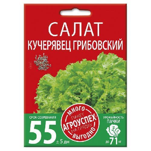 Салат полукочанный Кучерявец Грибовский, семена Агроуспех Много-Выгодно 3г (200)