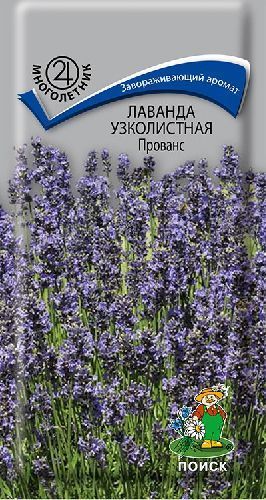 Лаванда узколистная Прованс, семена Поиск 0,1г