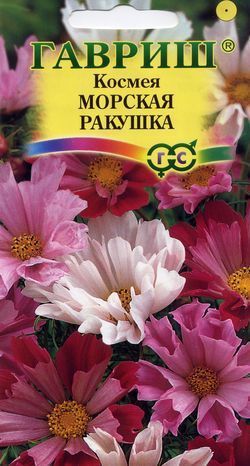 Космея Морская ракушка, семена Гавриш 0,3г