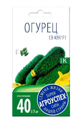 Семена огурцов св. Семена огурцов св