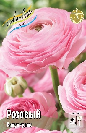 Ранункулюс Розовый Ranunculus Double Pink 6/7 10шт, капер, Колорлайн