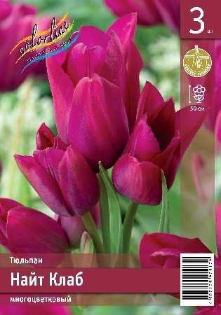Тюльпан Найт Клаб Tulip Night Club 11/12 3шт, капер, Колорлайн