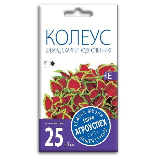 Колеус Визард Скарлет, семена Агроуспех 10шт (500)