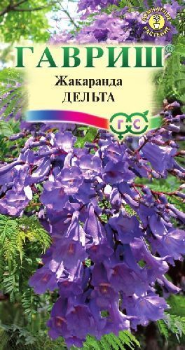 Жакаранда Дельта, семена Гавриш 3шт