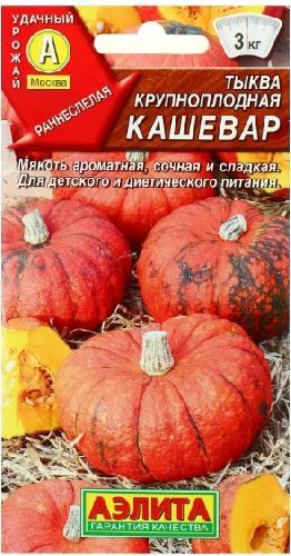Тыква Кашевар, семена Аэлита 2г