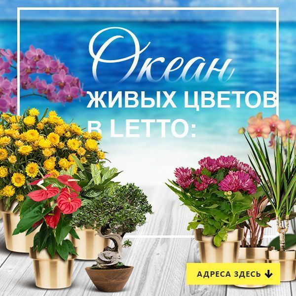 Океан живых цветов в LETTO Океан живых цветов в LETTO