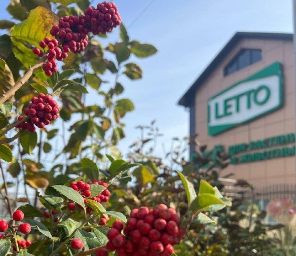 Каждый садовый центр уникален по-своему.