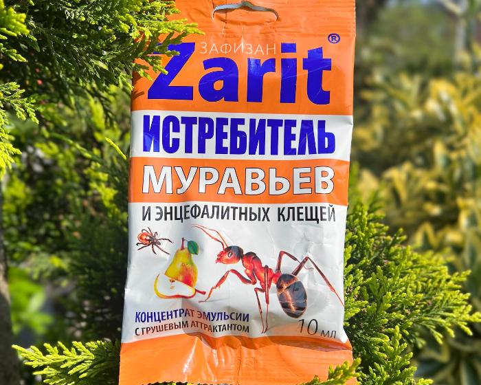 Как обезопасить свой участок от клещей и других вредных насекомых?