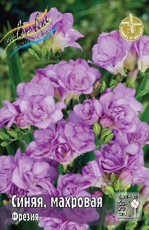 Фрезия Синяя Махровая Freesia Double Purle 5/6 10шт, капер, Колорлайн