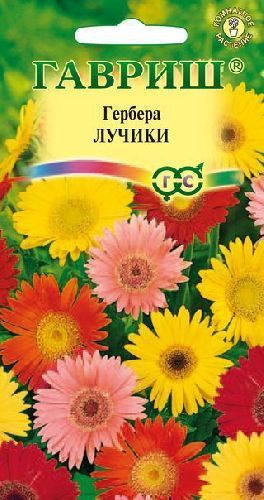Гербера Лучики, семена Гавриш 0,05г