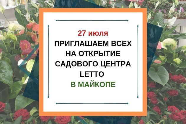 Открытие садового центра LETTO в Майкопе Открытие садового центра LETTO в Майкопе