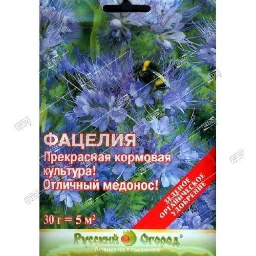 Фацелия семена газона, Русский огород 30г — купить в интернет-магазине ...